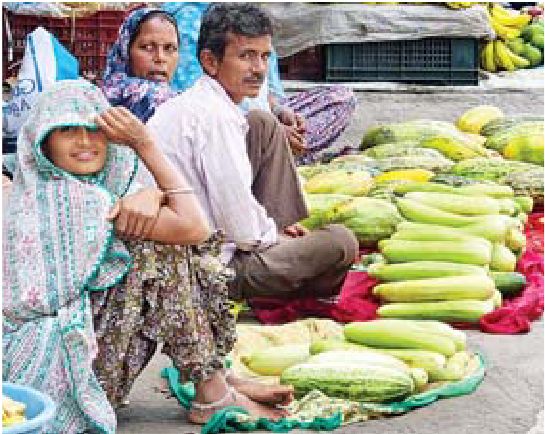 पौधारोपण किया गया