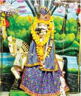 तेजाजी महाराज को अर्पण किए जा रहे हैं नारियल और निशान मंदिर में सुबह से पहुंच रहे हैं श्रद्धालु